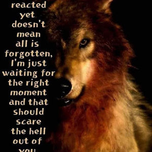 Meet your Posher, Nicholas